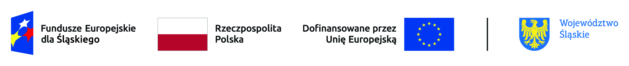 Fundusze Europejskie, RP, UE i Województwo Śląskie – współfinansowanie